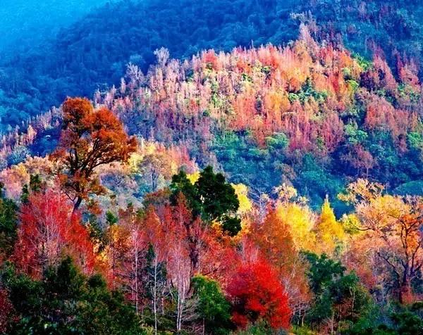 中国名山图大全,绝世美景