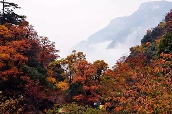 中国名山图大全,绝世美景