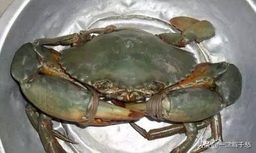 ʵĿԿ