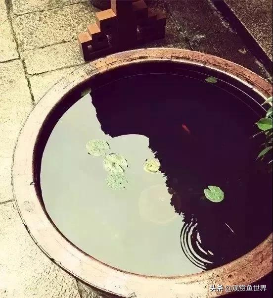 ŷ㣬Լ