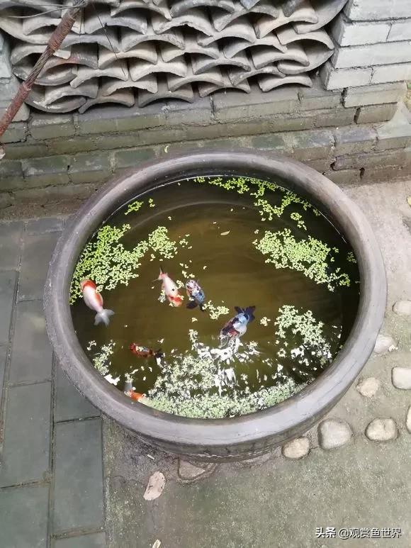 ŷ㣬Լ