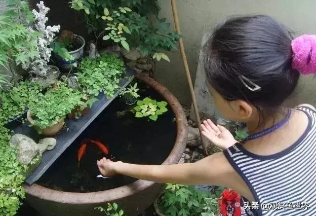 ŷ㣬Լ