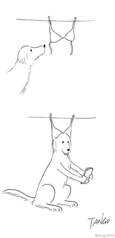 被这组无厘头漫画彻底征服了