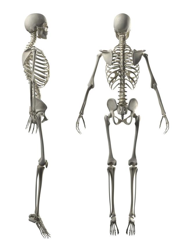 áȫ͸ͼ˵