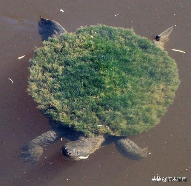 ࣬͸㵰лῴ17ʵƬ