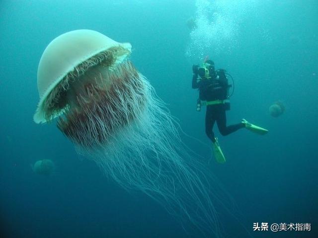 ࣬͸㵰лῴ17ʵƬ