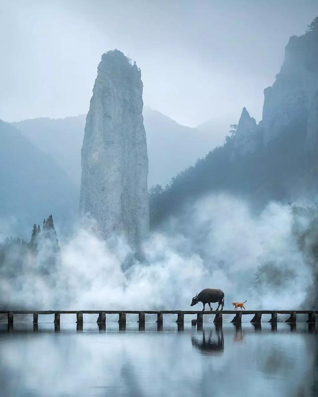 ǵķ羰ʫ续