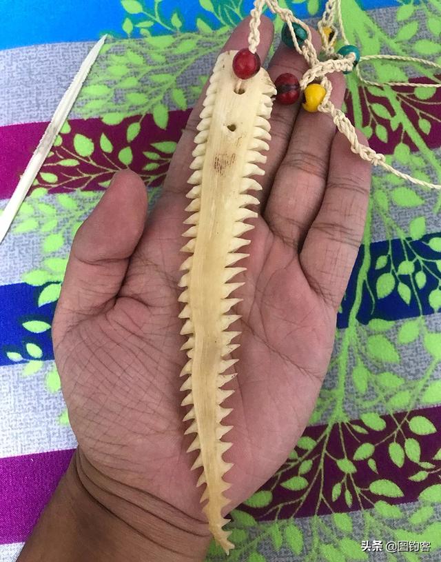 ֮Ρѷ鲼Ұ࣬ȴӵһ̬Ȧ