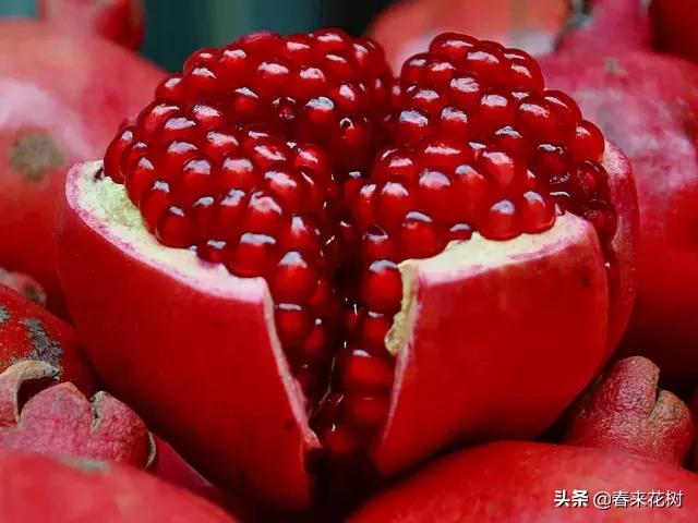ȴʶ仨ԭ㽶Ҳлÿ