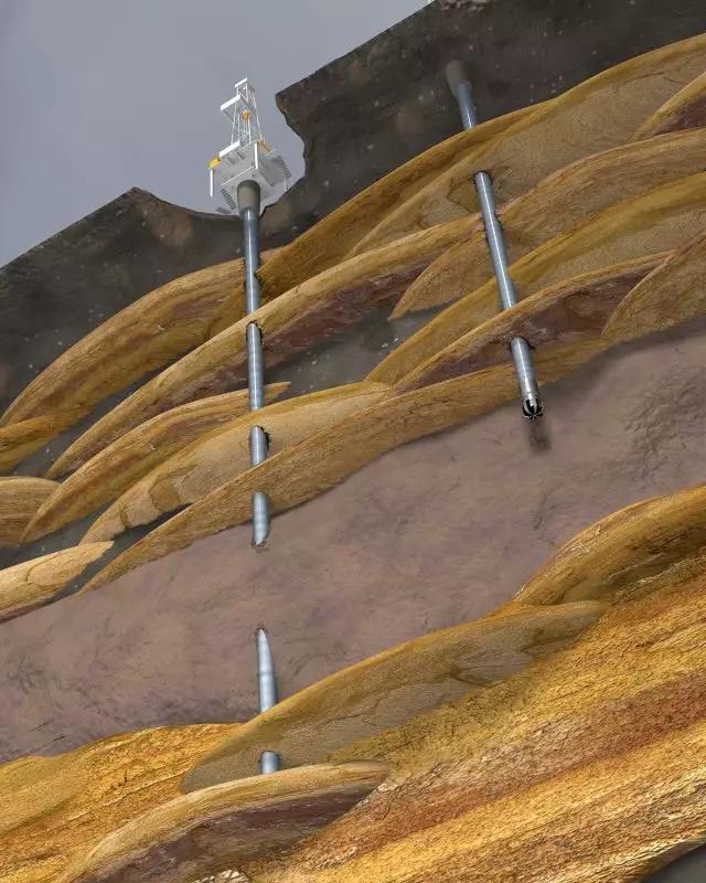 60άģͣһĿȻµ֪ʶѶ