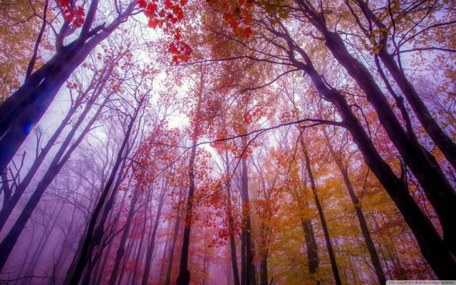 ԶǾ䣡ӳõ16׾䱳ֵ֣ղ