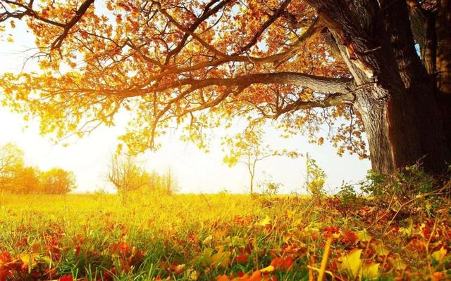 ԶǾ䣡ӳõ16׾䱳ֵ֣ղ