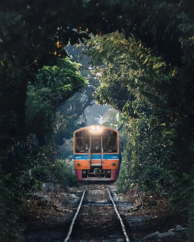 ȱֻȱٷ۾