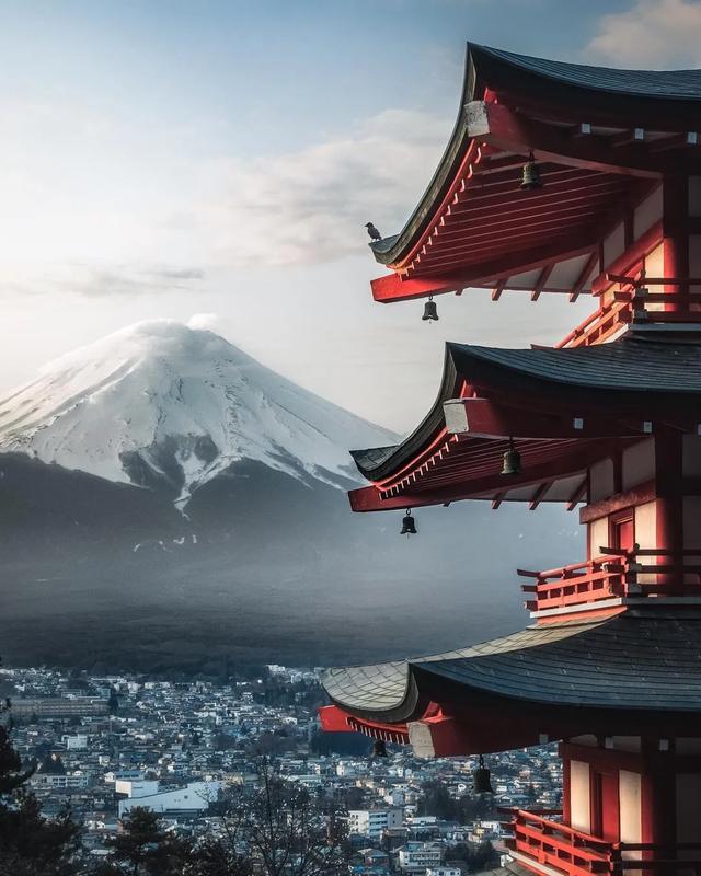 ȱֻȱٷ۾