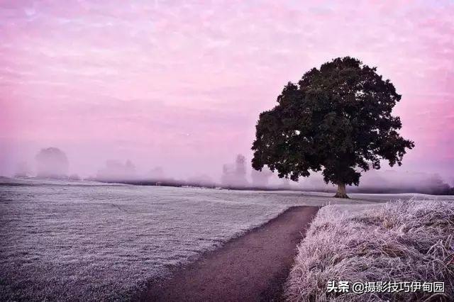 深度长文!想快速提高摄影技巧,这20种构图法不可错过