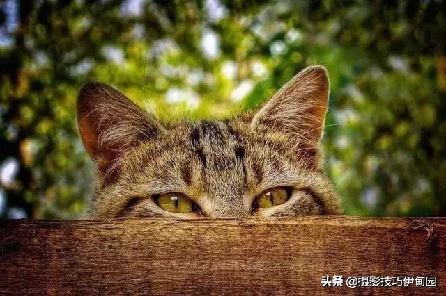 深度长文!想快速提高摄影技巧,这20种构图法不可错过