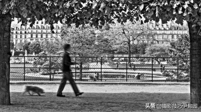 深度长文!想快速提高摄影技巧,这20种构图法不可错过
