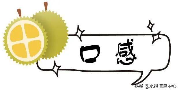 ײʱŵᣬèɽ