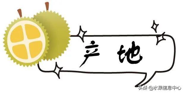 ײʱŵᣬèɽ