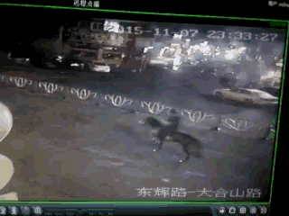 车祸动态图,别用生命挑战自己