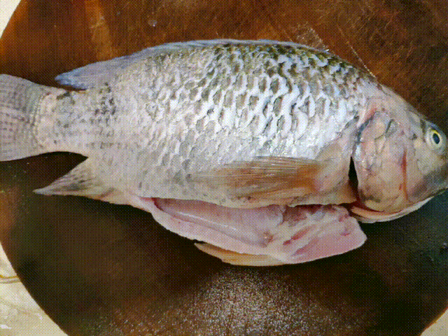 Ϊ㣬ֹϵʳӹ˶ʳĻ