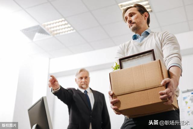 35岁被裁员，面试被羞辱：深耕一个领域是最大骗局
