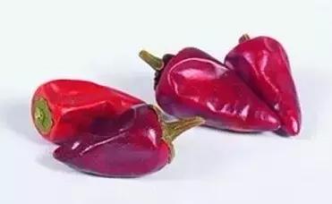 十三种干辣椒的简介