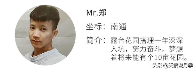 他们用1年时间，在自家楼顶建造出一个绝美露台花园