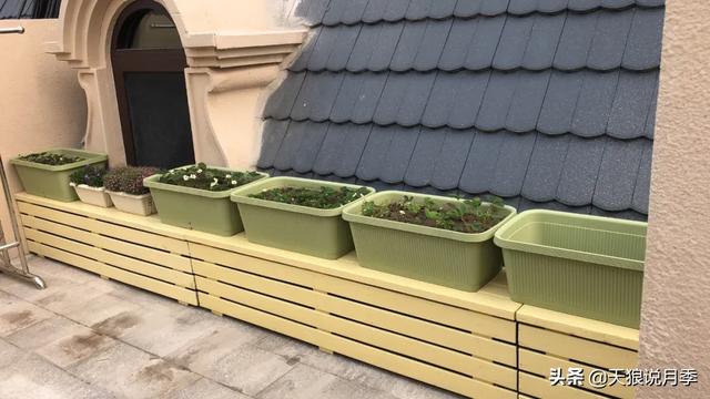 他们用1年时间，在自家楼顶建造出一个绝美露台花园