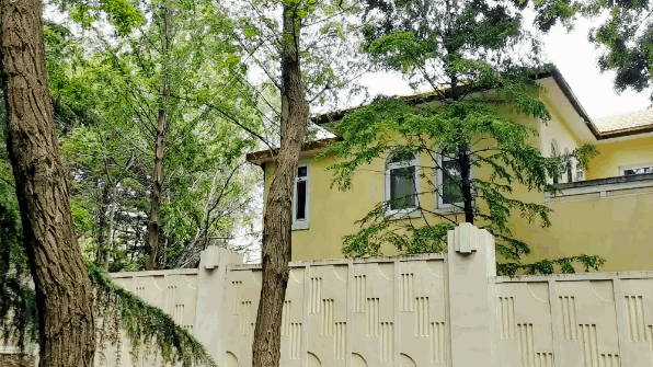 我在青岛做了这10件小事,找回了久违的快乐