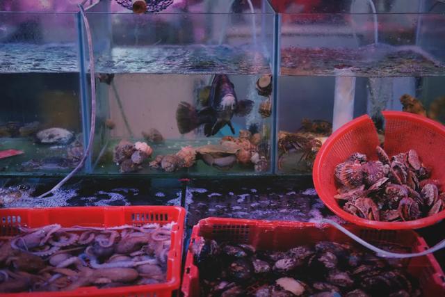 我在青岛做了这10件小事,找回了久违的快乐