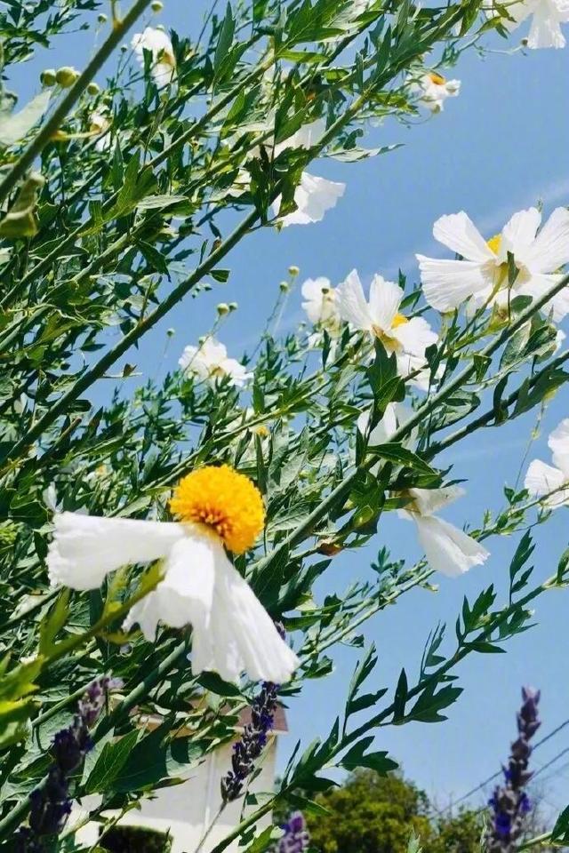 Щ굹32ƪģ㻹ܱƪ