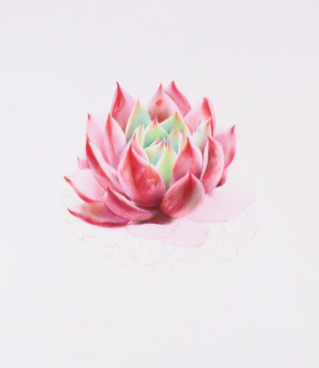 Ǧ̳ | 