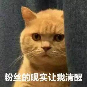 ÿ춼ĹǷʲôã