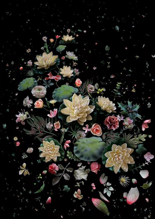 ں߼ĳƬֻΪǹͬĺ