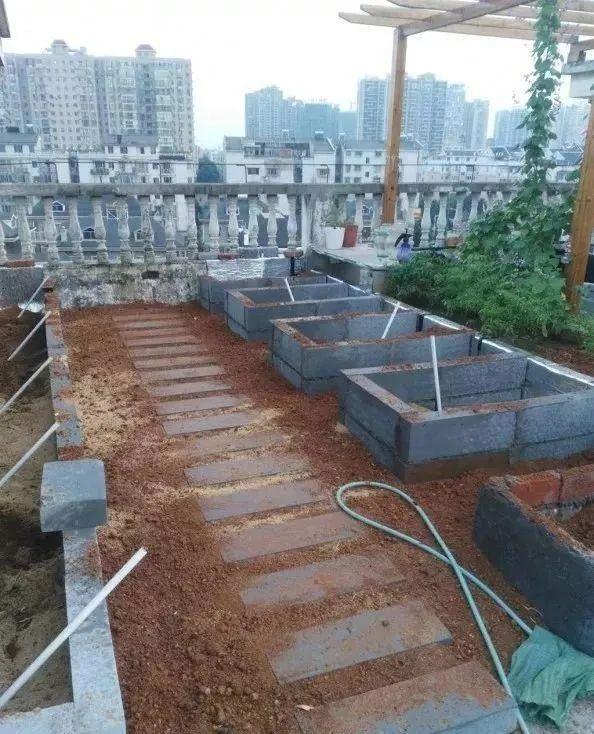 100平顶楼露台花园，养花种菜喂鱼，大隐于市，简约生活！