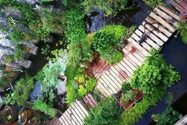 100平顶楼露台花园，养花种菜喂鱼，大隐于市，简约生活！