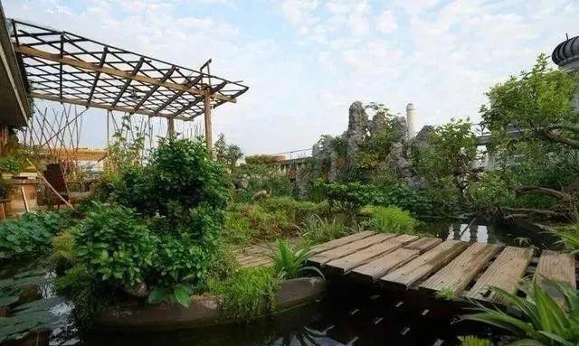 100平顶楼露台花园，养花种菜喂鱼，大隐于市，简约生活！
