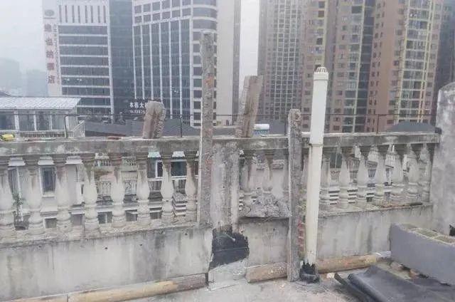 100平顶楼露台花园，养花种菜喂鱼，大隐于市，简约生活！