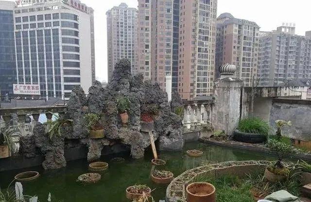 100平顶楼露台花园，养花种菜喂鱼，大隐于市，简约生活！