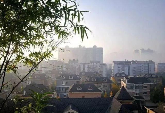 100平顶楼露台花园，养花种菜喂鱼，大隐于市，简约生活！