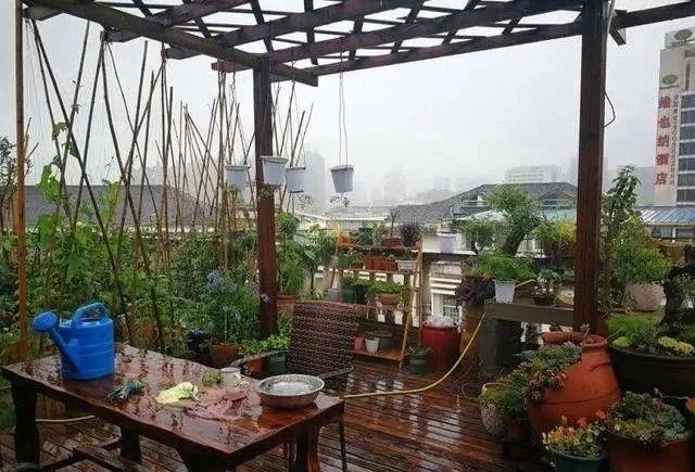 100平顶楼露台花园，养花种菜喂鱼，大隐于市，简约生活！