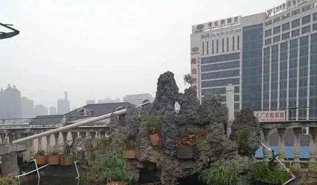 100平顶楼露台花园，养花种菜喂鱼，大隐于市，简约生活！