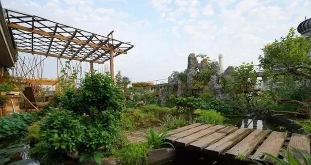 100平顶楼露台花园，养花种菜喂鱼，大隐于市，简约生活！