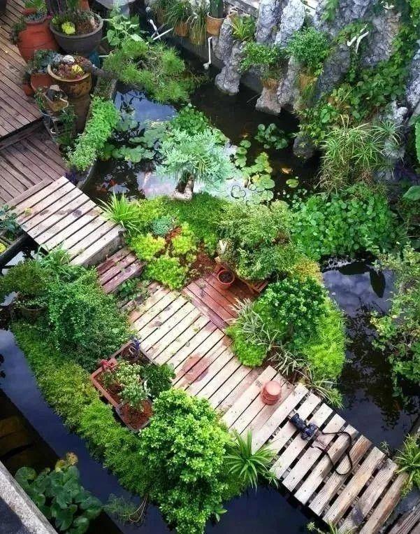 100平顶楼露台花园，养花种菜喂鱼，大隐于市，简约生活！