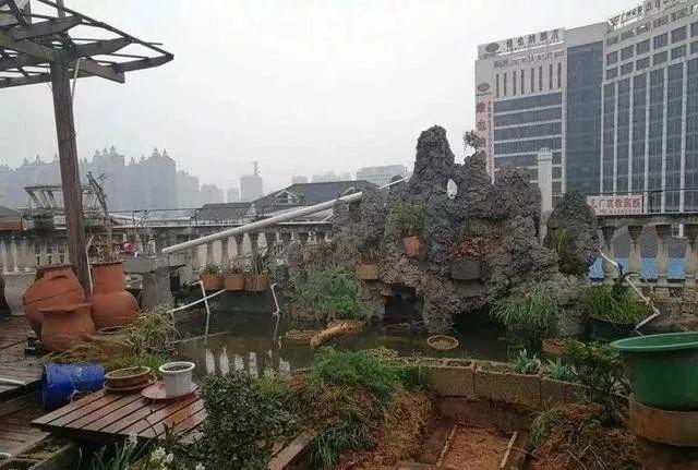 100平顶楼露台花园，养花种菜喂鱼，大隐于市，简约生活！