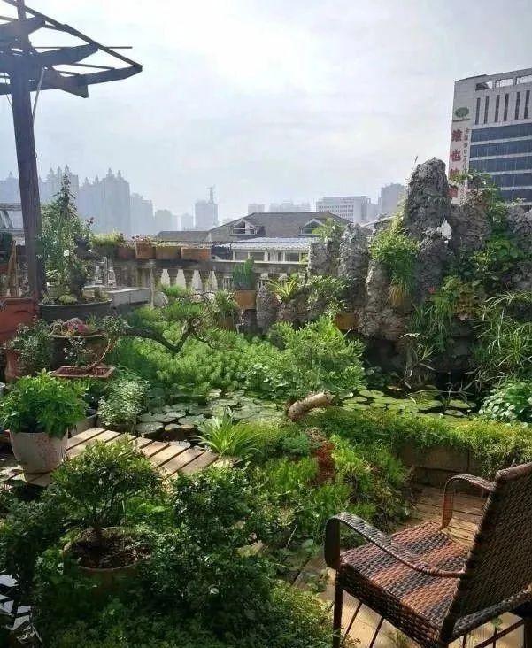 100平顶楼露台花园，养花种菜喂鱼，大隐于市，简约生活！