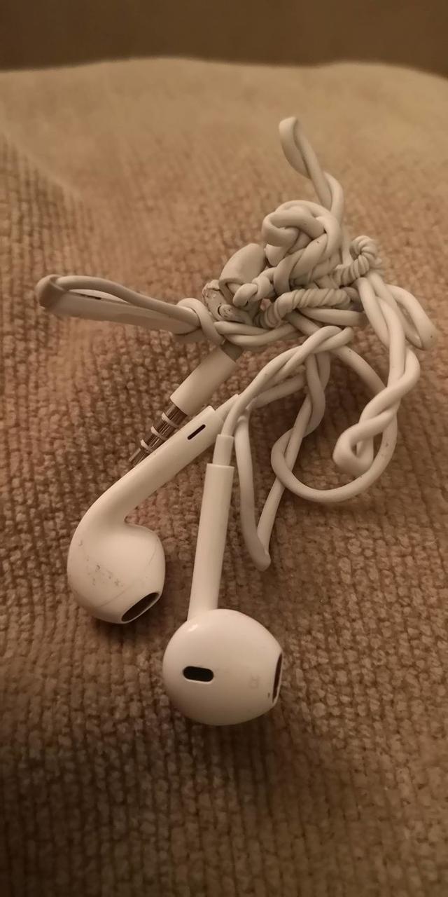19ſꡰˬƬʱЩƽ