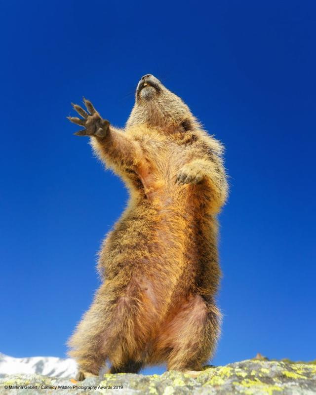 ӰҰϲƬչʾж໬
