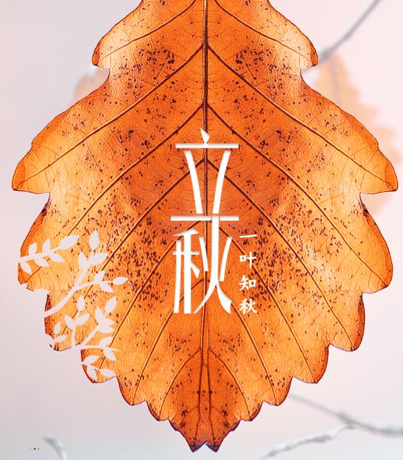 ʳ